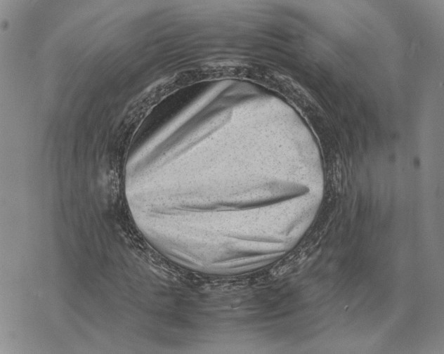 X0000074230821200609151644