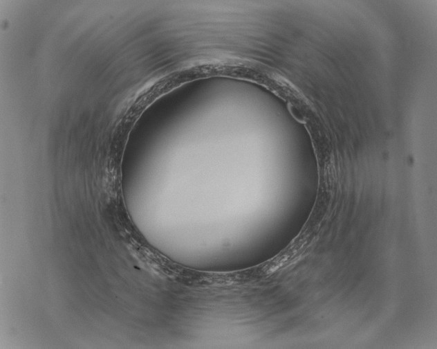 X0000074230822200609151644