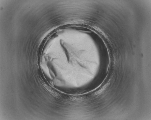 X0000074230830200609151644