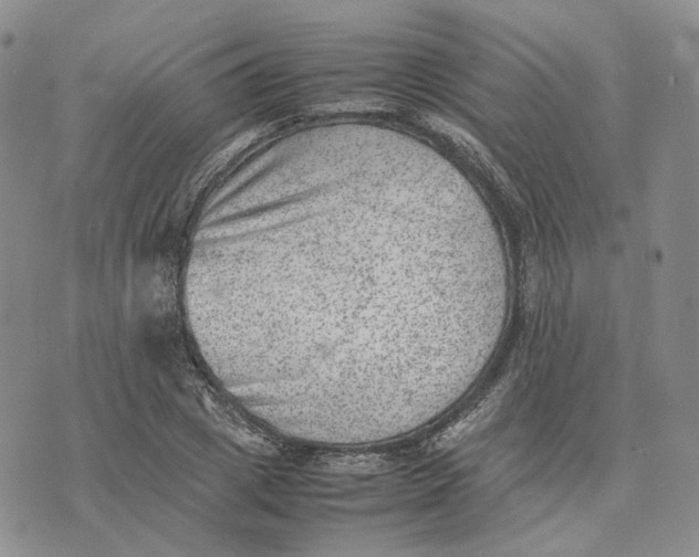 X0000074230833200609151644