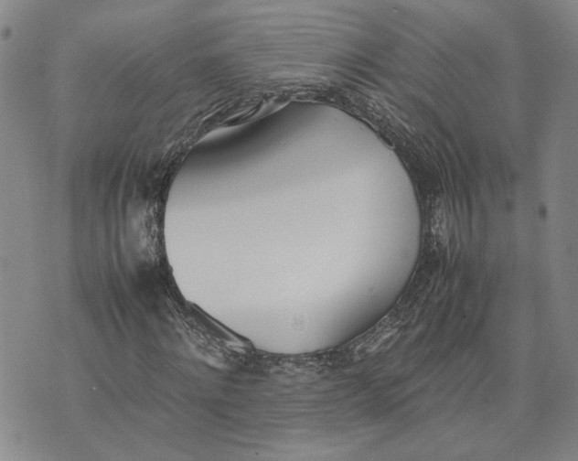 X0000074230868200609151644