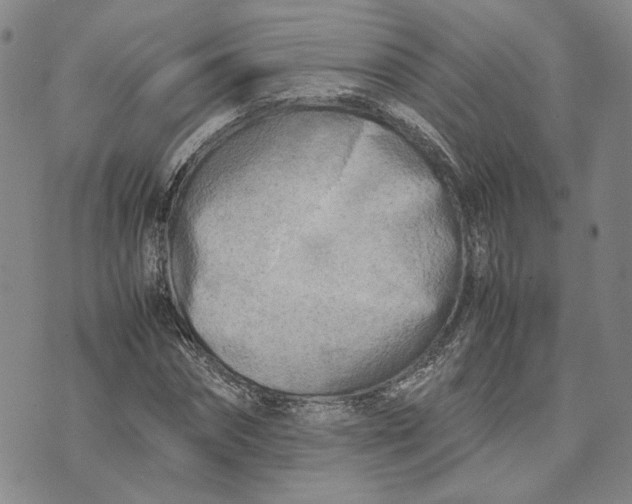 X0000074230874200609151644
