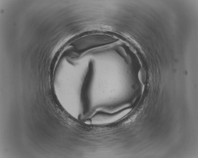 X0000074230877200609151643