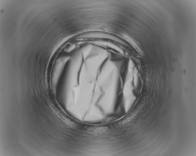 X0000074230884200609151643