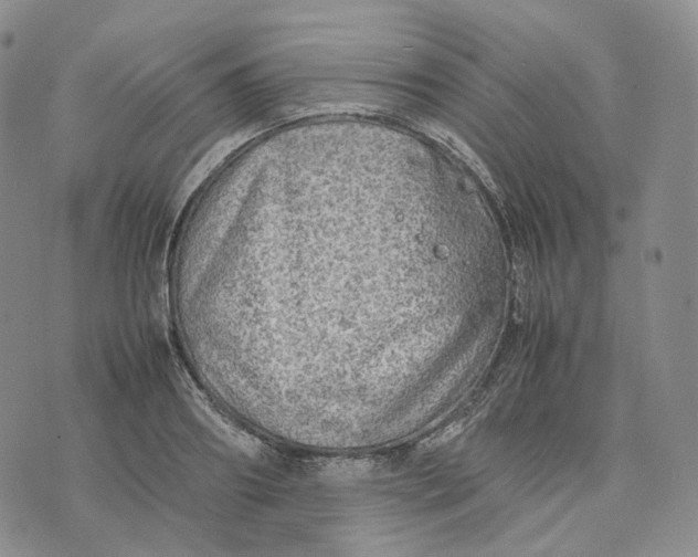 X0000074230890200609151643