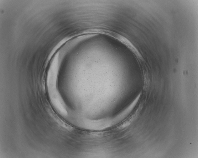 X0000074230908200609151643