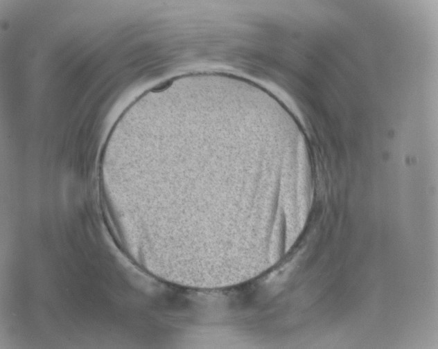 X0000074230911200609151643