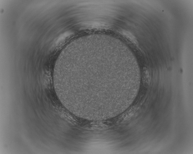 X0000074230918200609151642