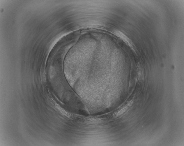 X0000074230924200609151642