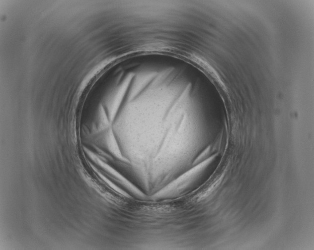 X0000074230939200609151643