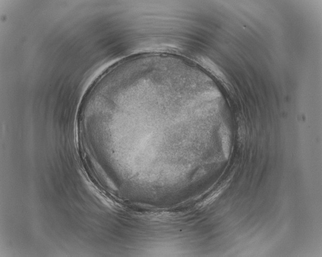X0000074230940200609151643