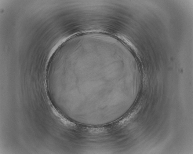 X0000074230941200609151643
