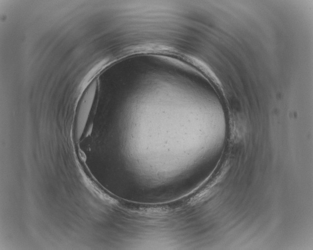 X0000074230946200609151643