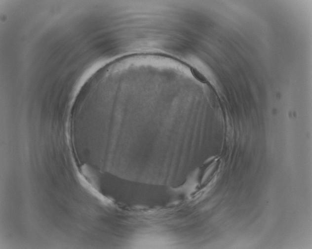 X0000074230958200609151643