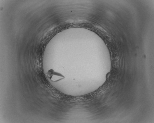 X0000074230966200609151642