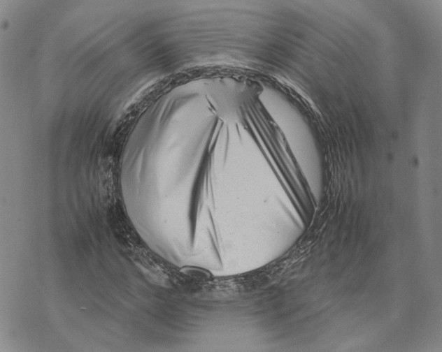 X0000074230968200609151642