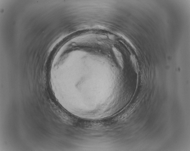 X0000074230975200609151642