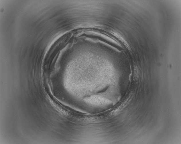 X0000074230976200609151642