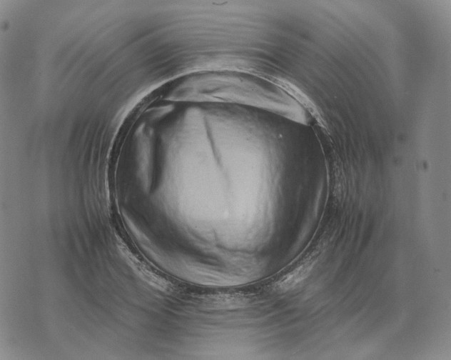 X0000074230980200609151642