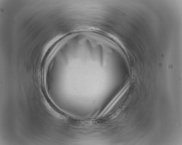 X0000074231003200609151641