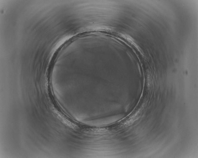 X0000074231024200609151641