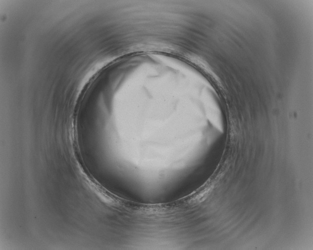 X0000074231040200609151641
