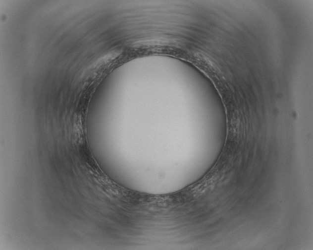 X0000074231062200609151640