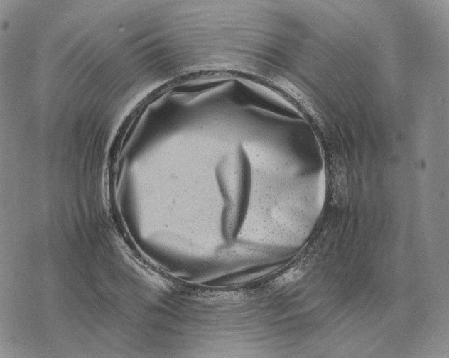 X0000074231076200609151640