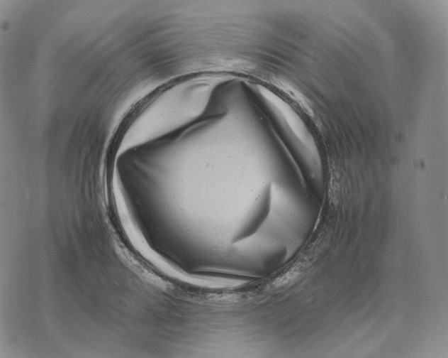 X0000074231080200609151640