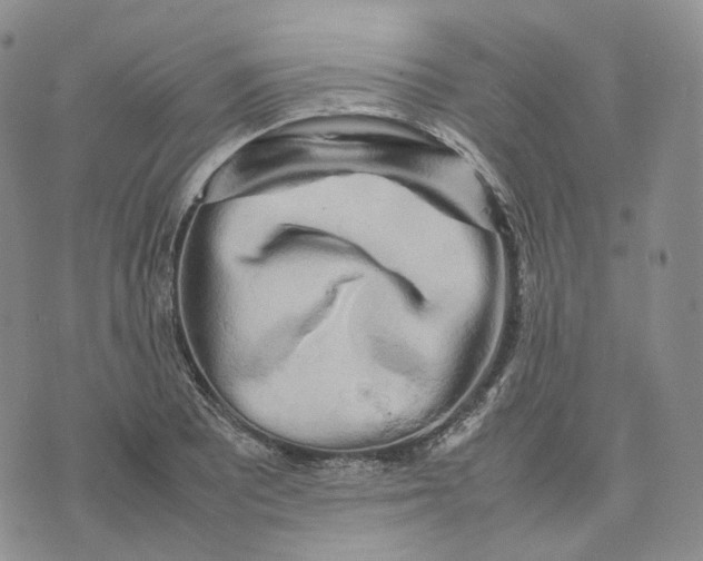 X0000074231081200609151640