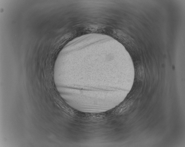 X0000074231105200609151639