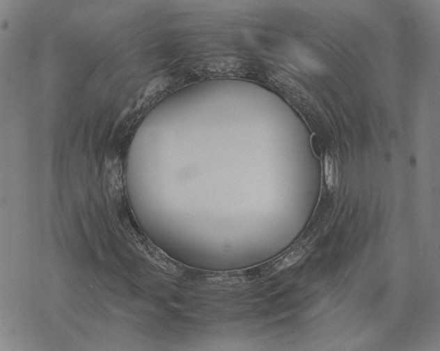 X0000074231107200609151639
