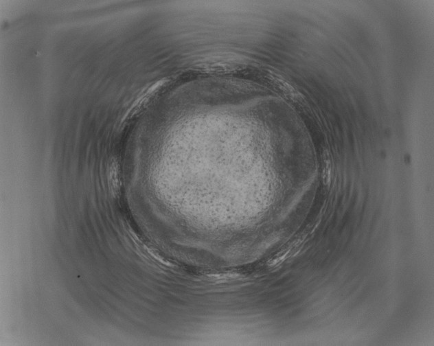 X0000074231108200609151639