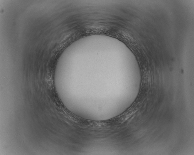 X0000074231109200609151639