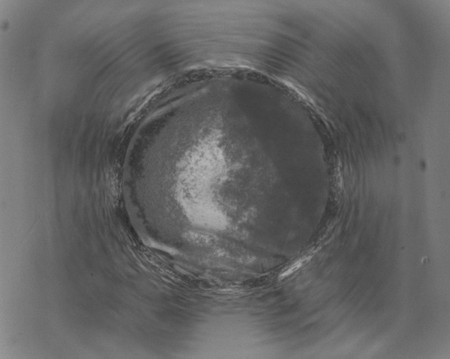 X0000074231110200609151639