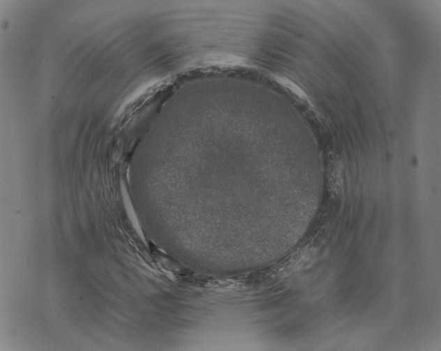 X0000074231112200609151639