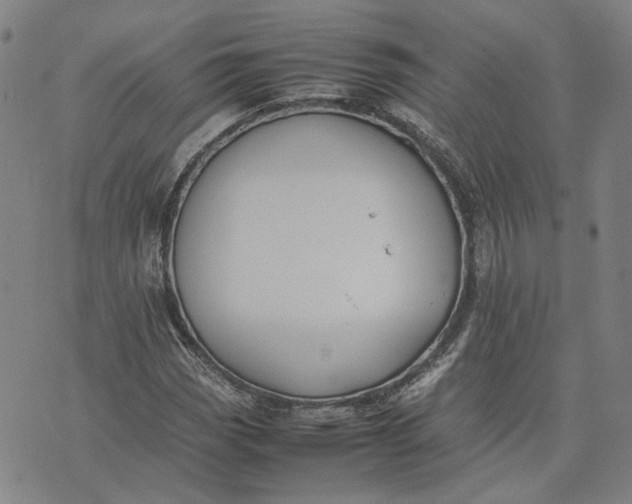 X0000074231113200609151639