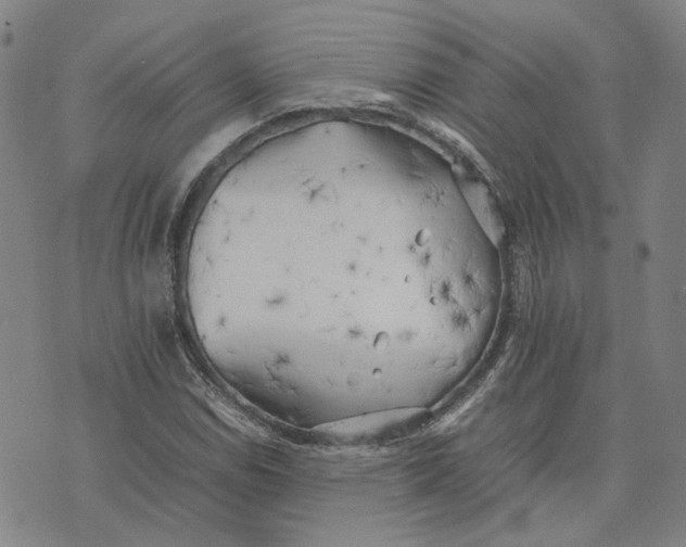 X0000074231114200609151639