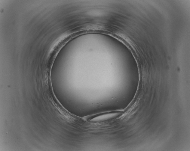 X0000074231115200609151639