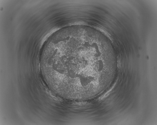 X0000074231117200609151639