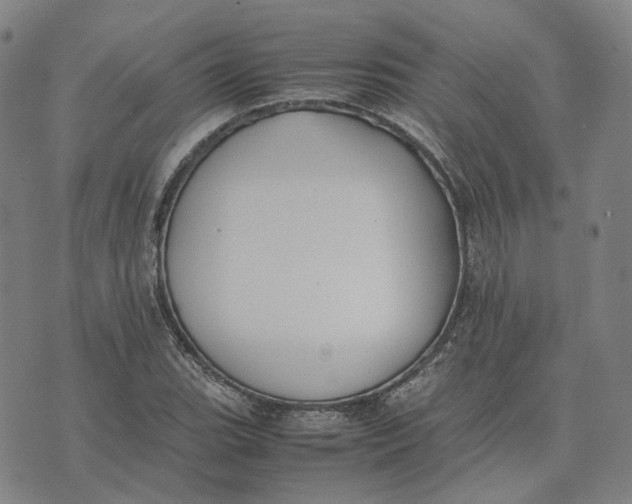 X0000074231119200609151639