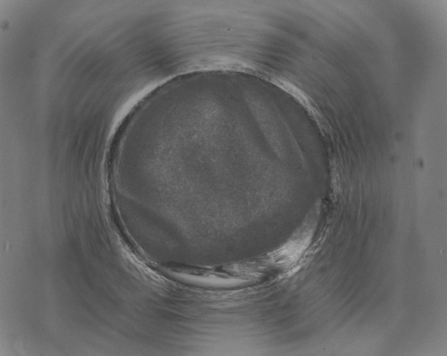 X0000074231120200609151639