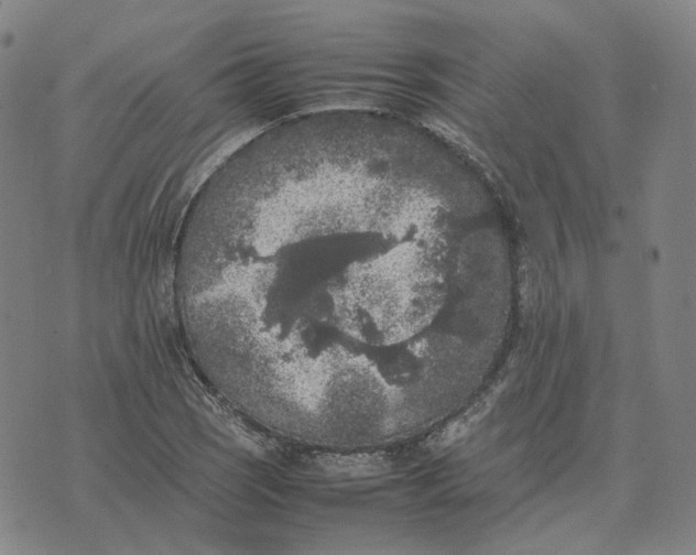 X0000074231121200609151639