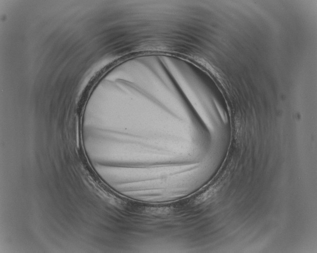 X0000074231123200609151639