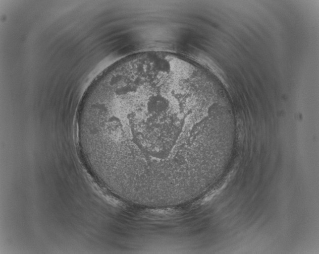 X0000074231125200609151639