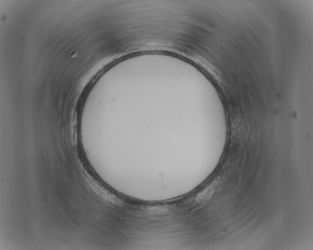 X0000074231126200609151639