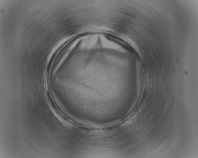 X0000074231128200609151639