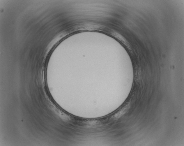 X0000074231130200609151639