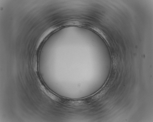 X0000074231131200609151639