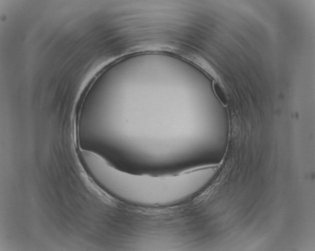 X0000074231132200609151639